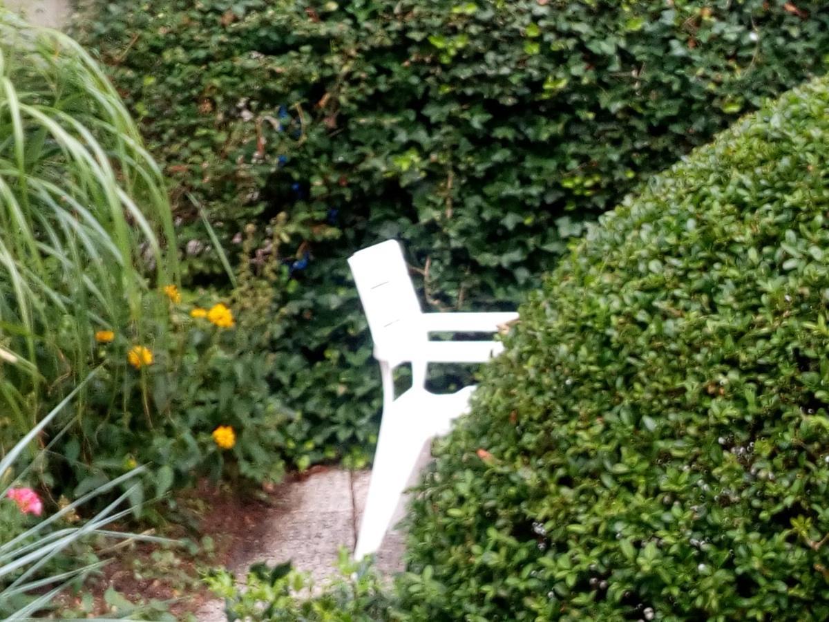 Apartment Haus Ebeling Norderney